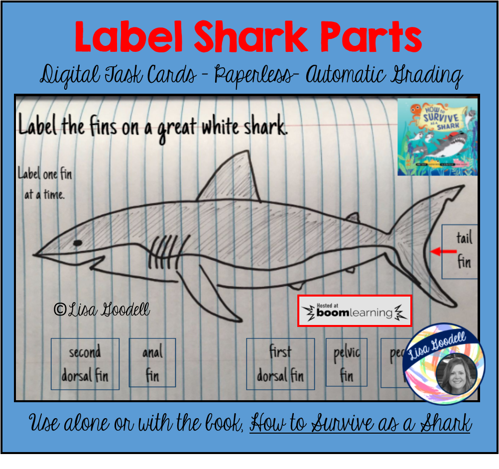Label Shark Parts