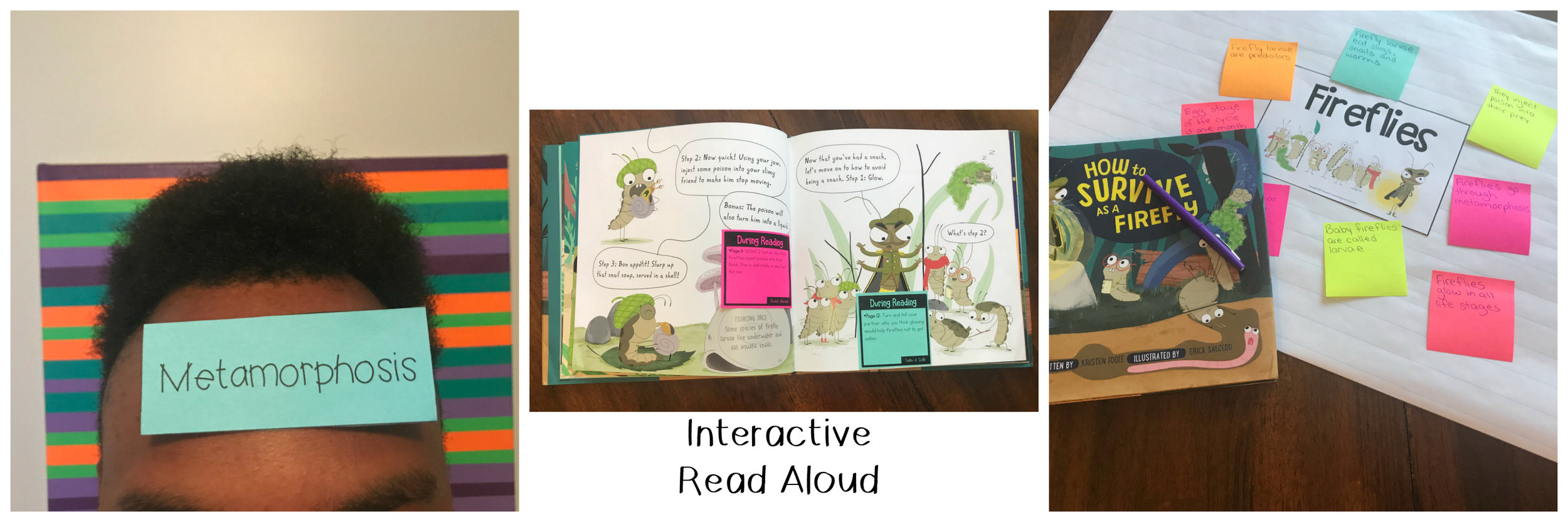 Informational Hybrid Text Interactive Read Aloud