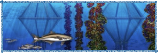 shapeimage_1.png