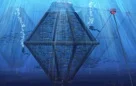 Fish Cage.jpg