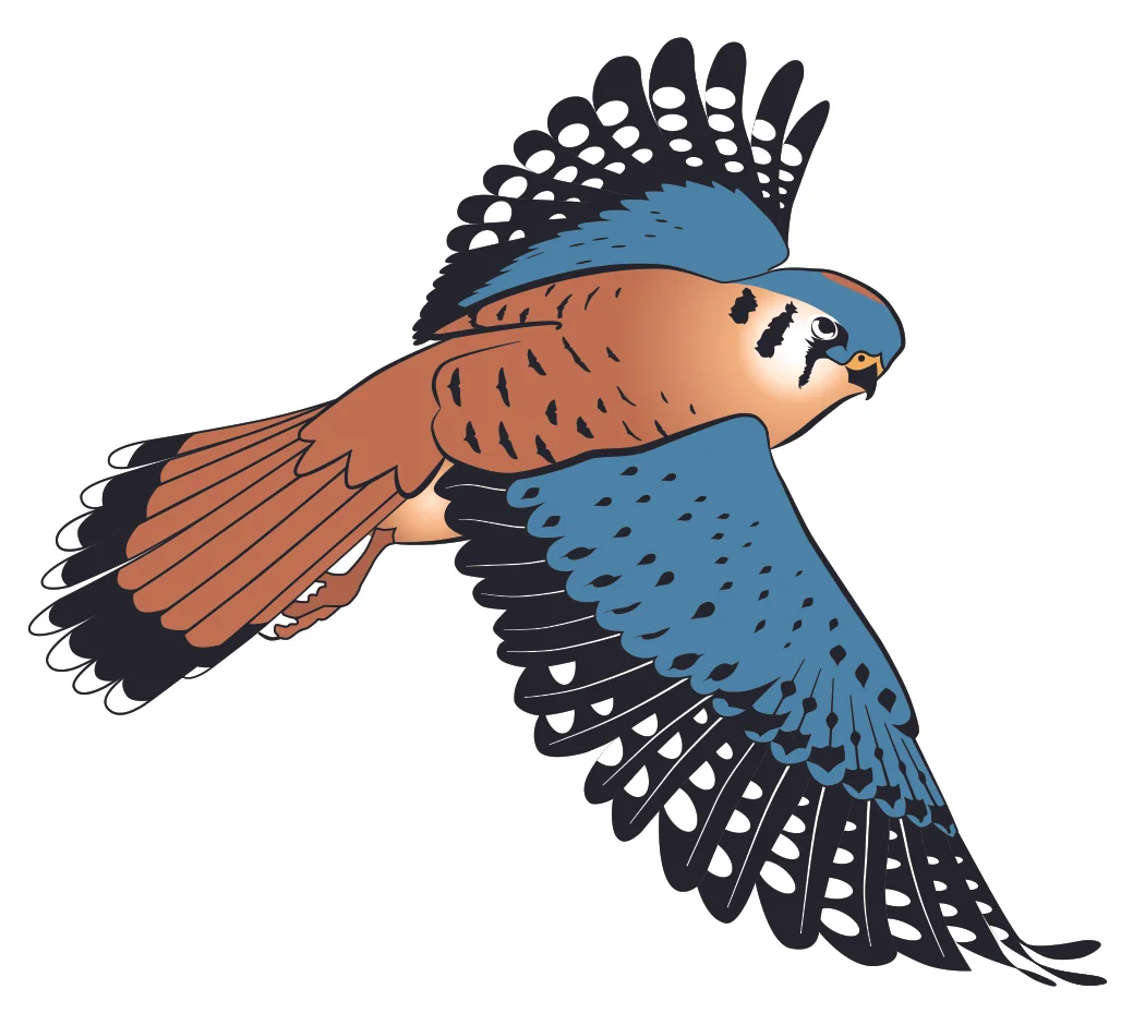 AudubonScietyMD_Bird_CMYK.jpg