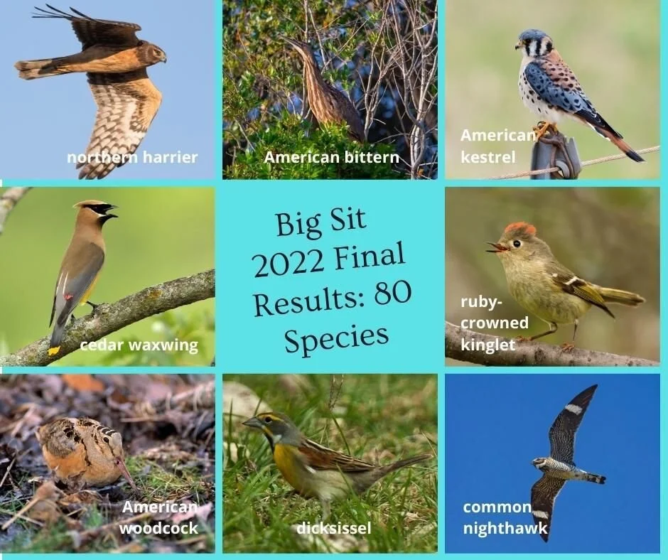 Audubon Society of Central Maryland