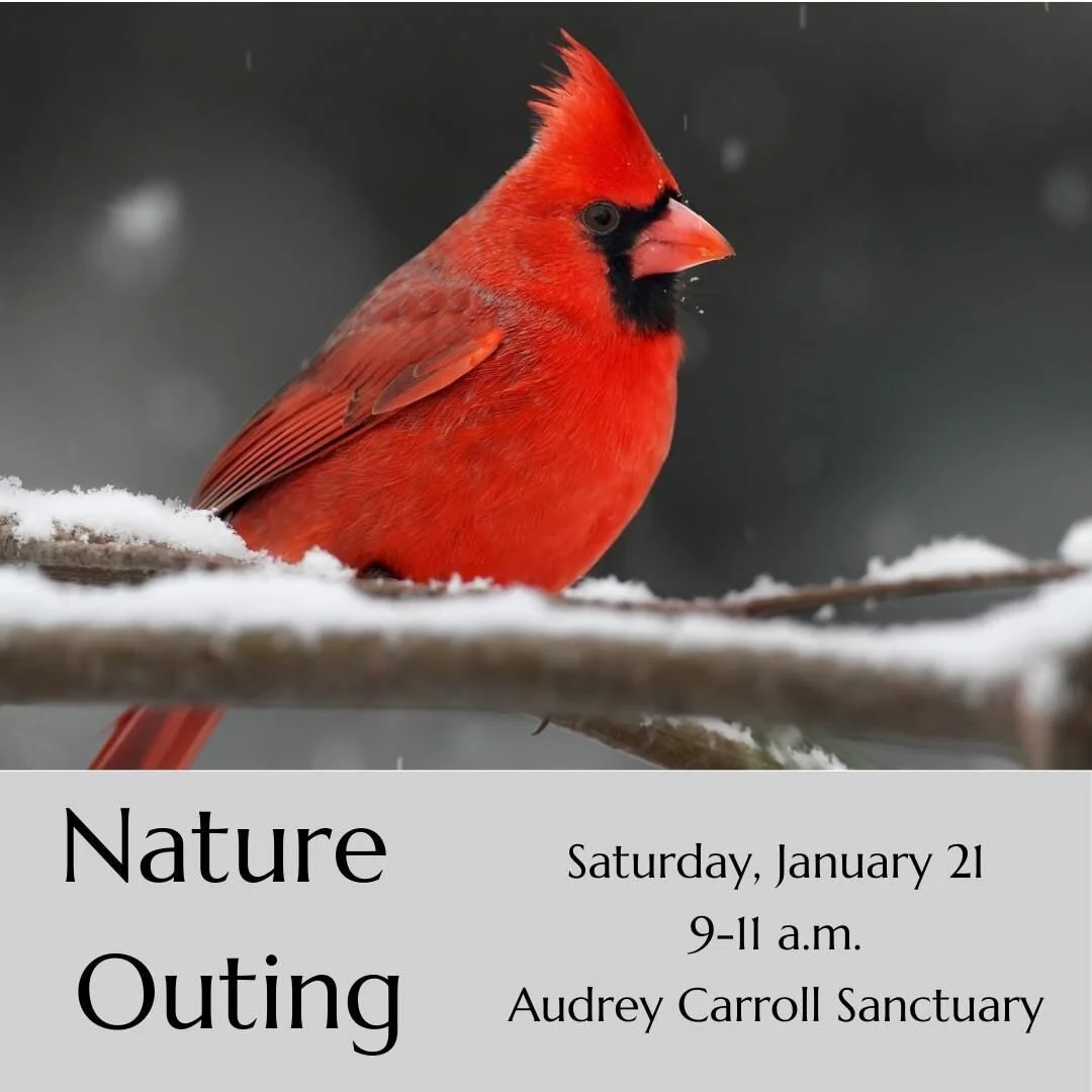 Audubon Society of Central Maryland