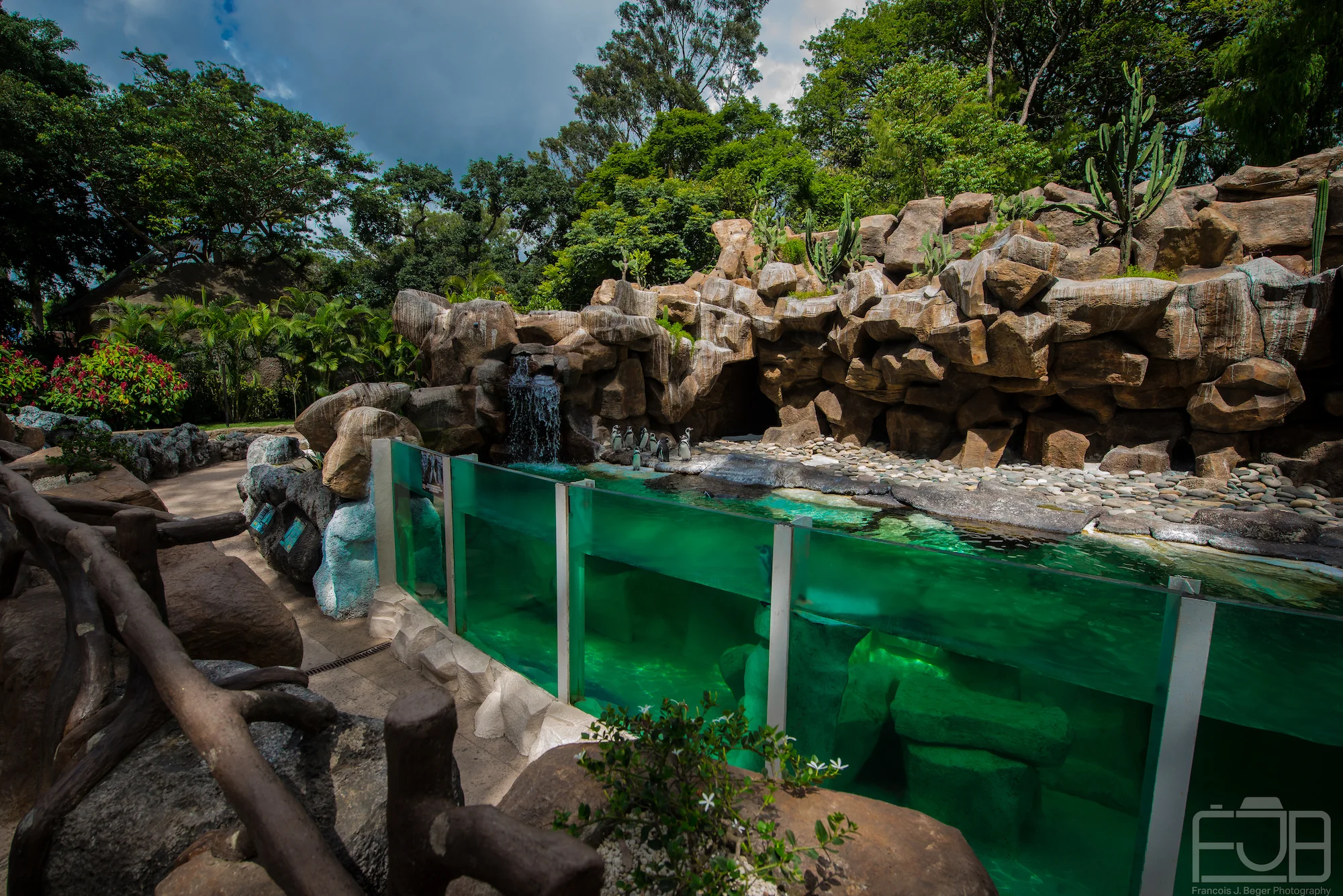 Recinto de pinguinos, Zoologico La Aurora