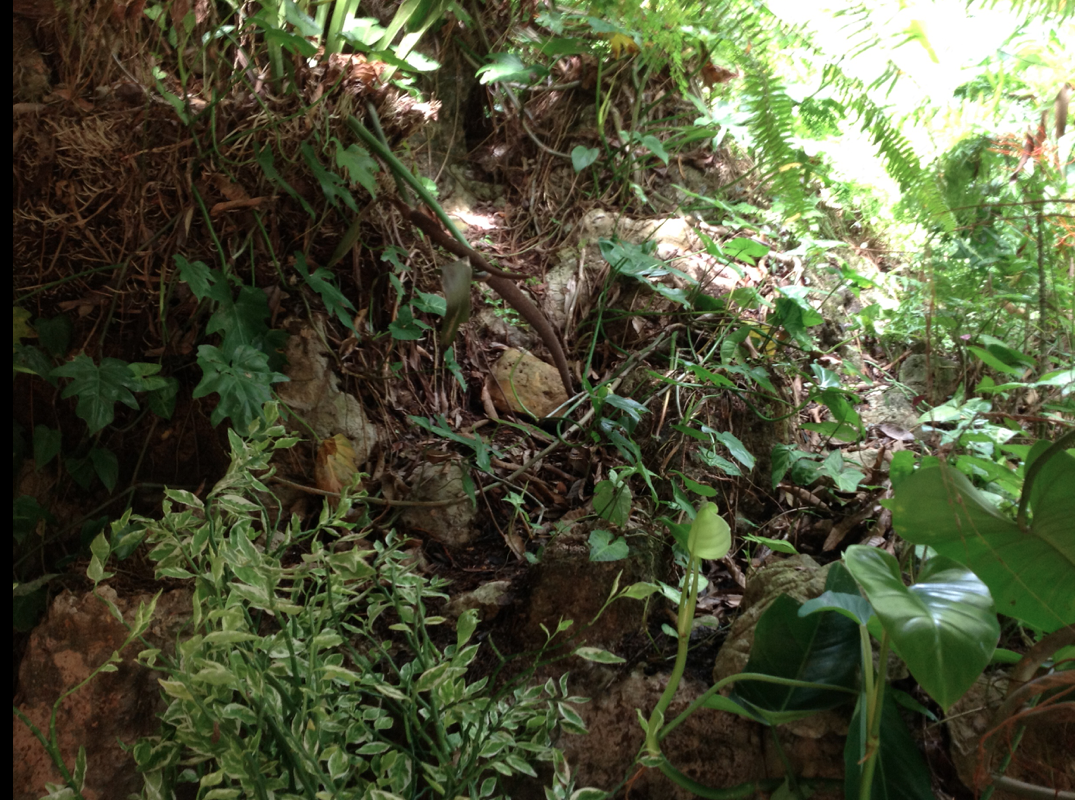 Screen Shot 2017-09-08 at 3.35.59 PM.png