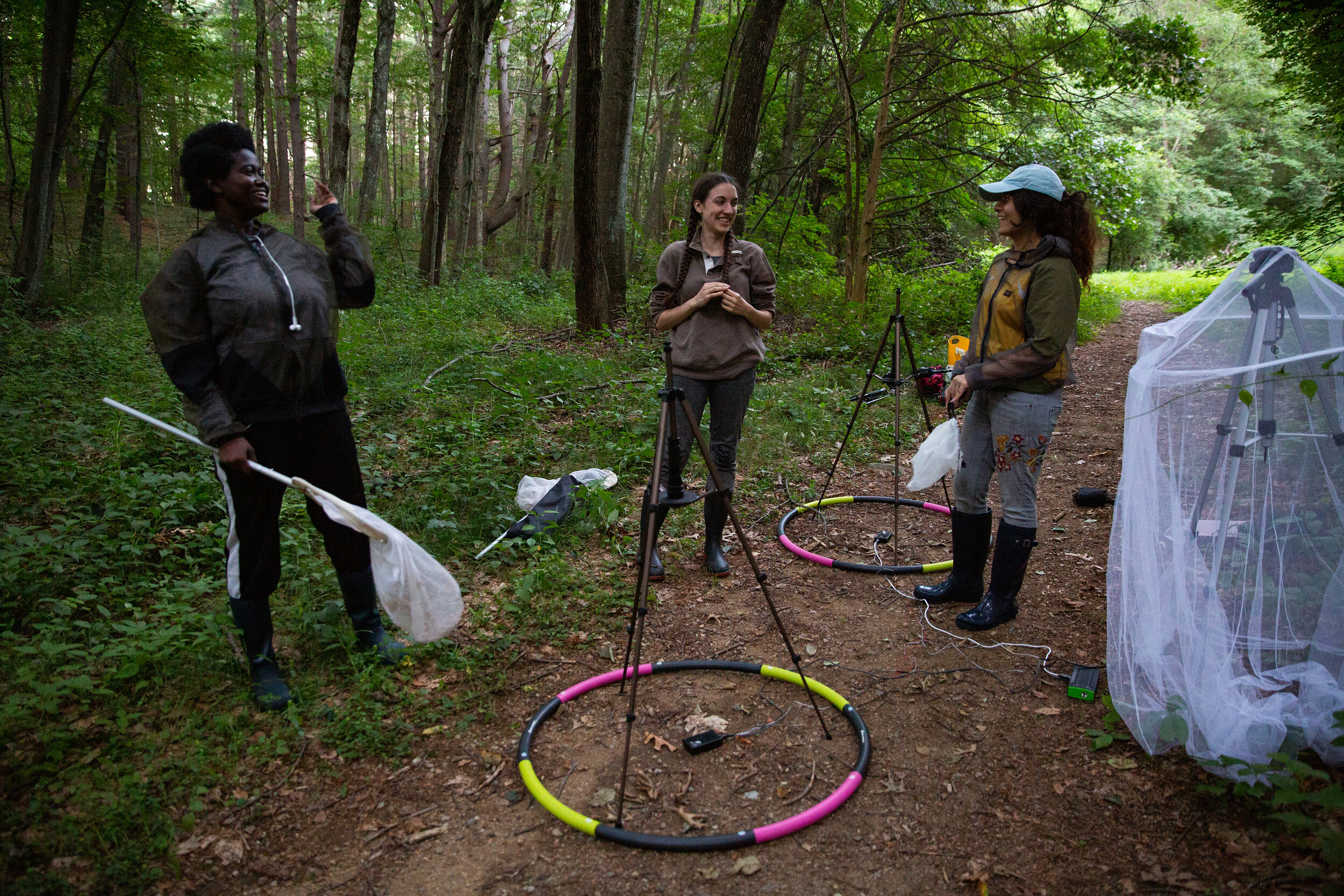  Research assistant Francisca Donkor (left), PhD student Avalon Owens and research assistant Vaidehi Chotai, share a laugh after setting up equipment at their field site on a wooded trail in Concord, Mass. The team is testing whether light pollution 