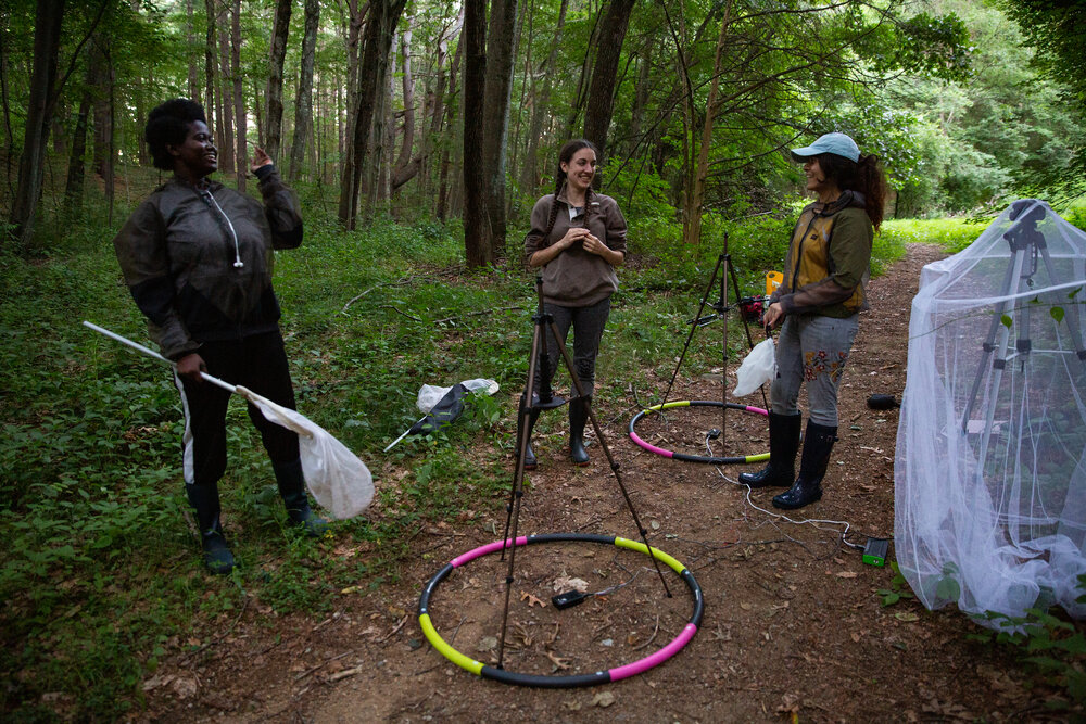 Research assistant Francisca Donkor (left), PhD student Avalon Owens and research assistant Vaidehi Chotai, share a laugh after setting up equipment at their field site on a wooded trail in Concord, Mass. The team is testing whether light pollution