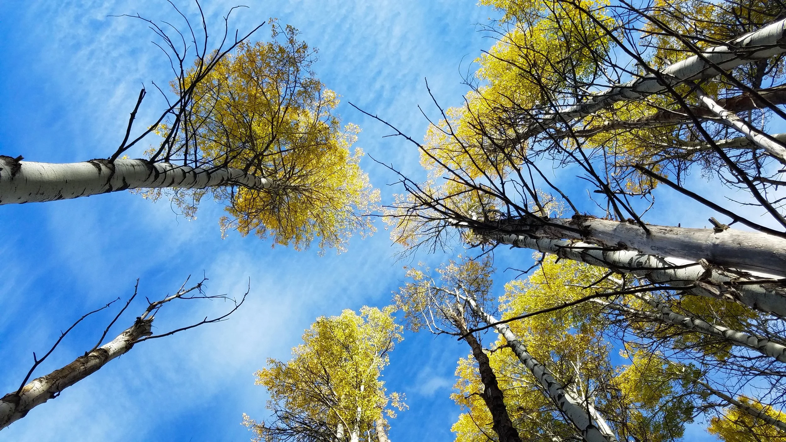 20161009_154852 2.jpg