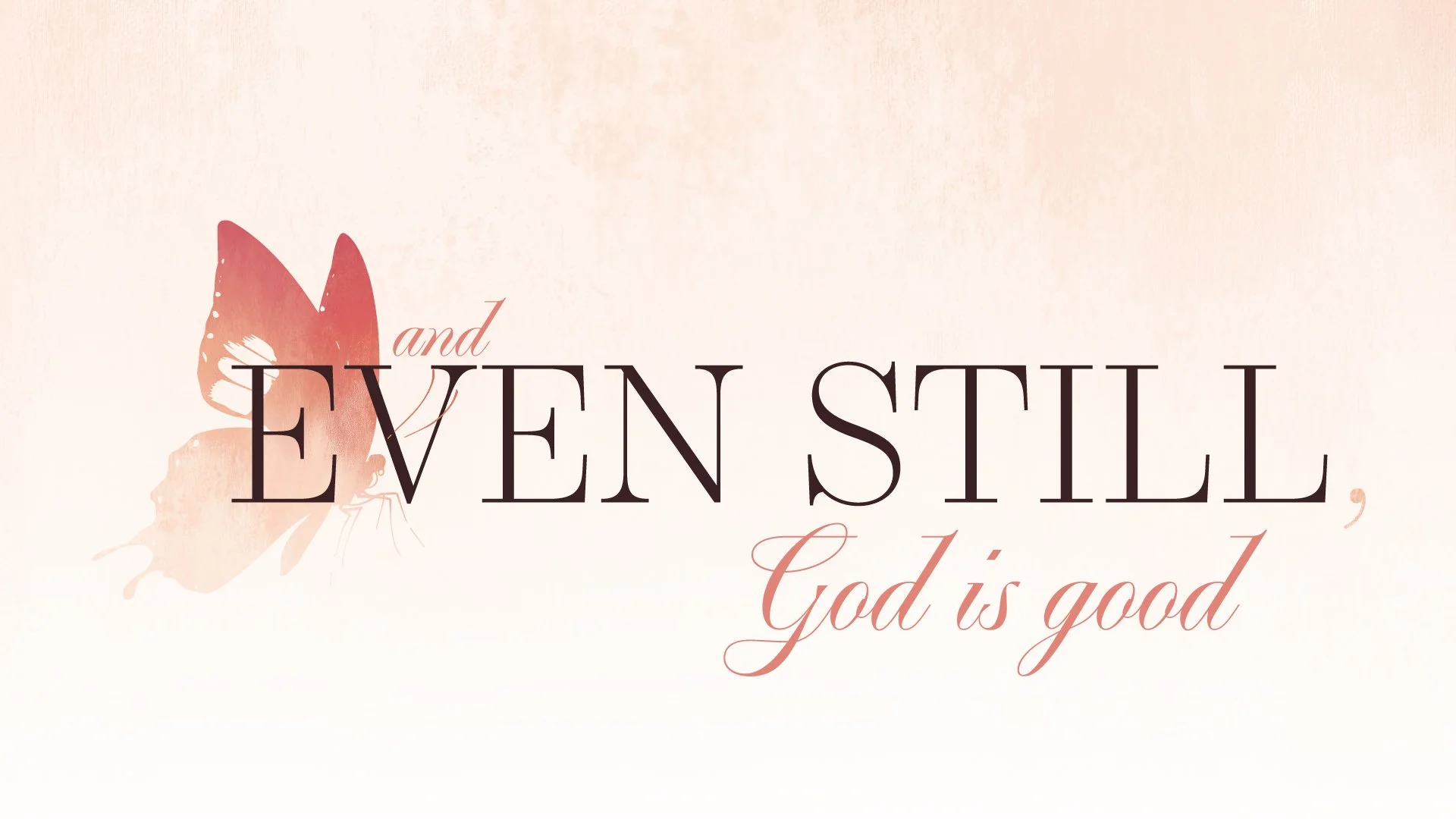 Even Still Gathering {Women's Ministry}