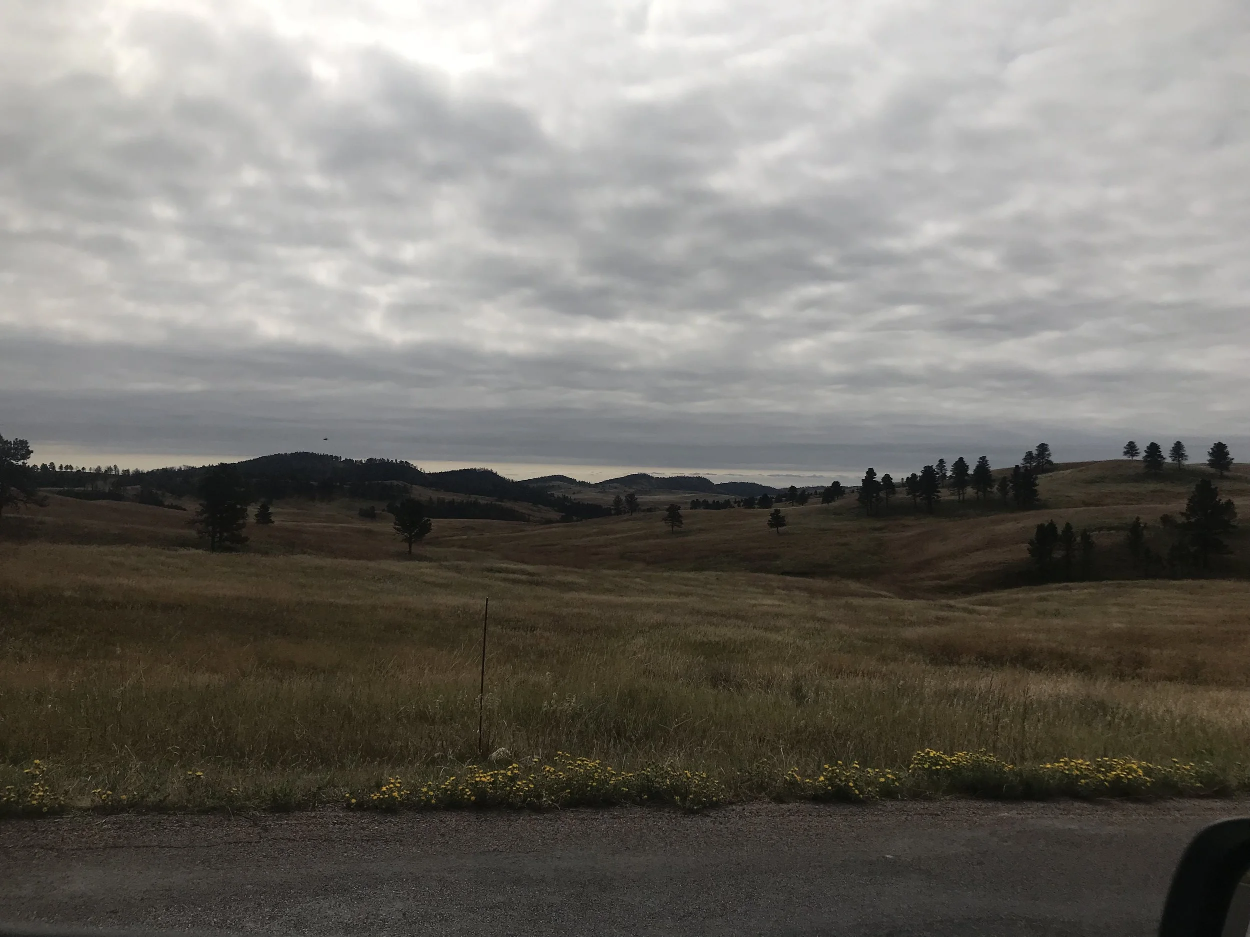 IMG_3541.jpeg