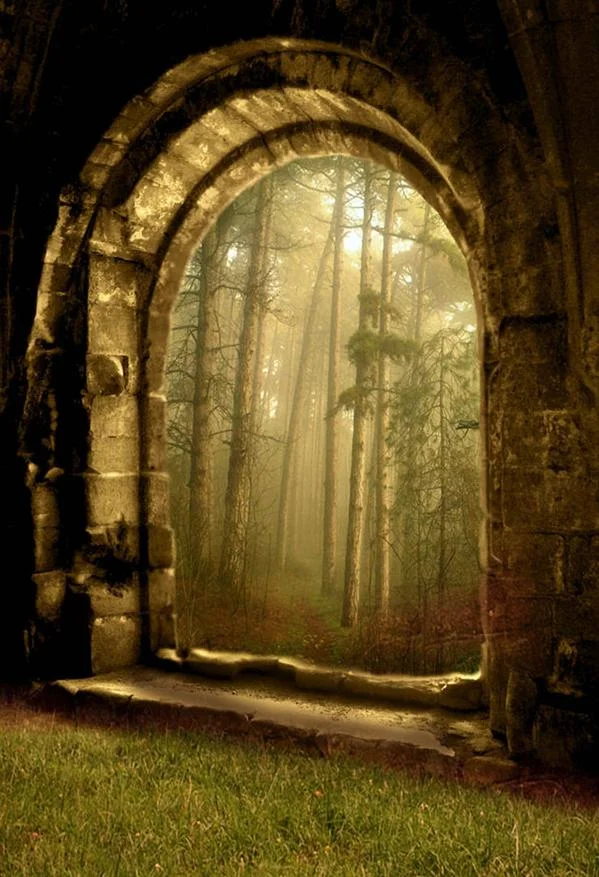 premade-background-3.jpg