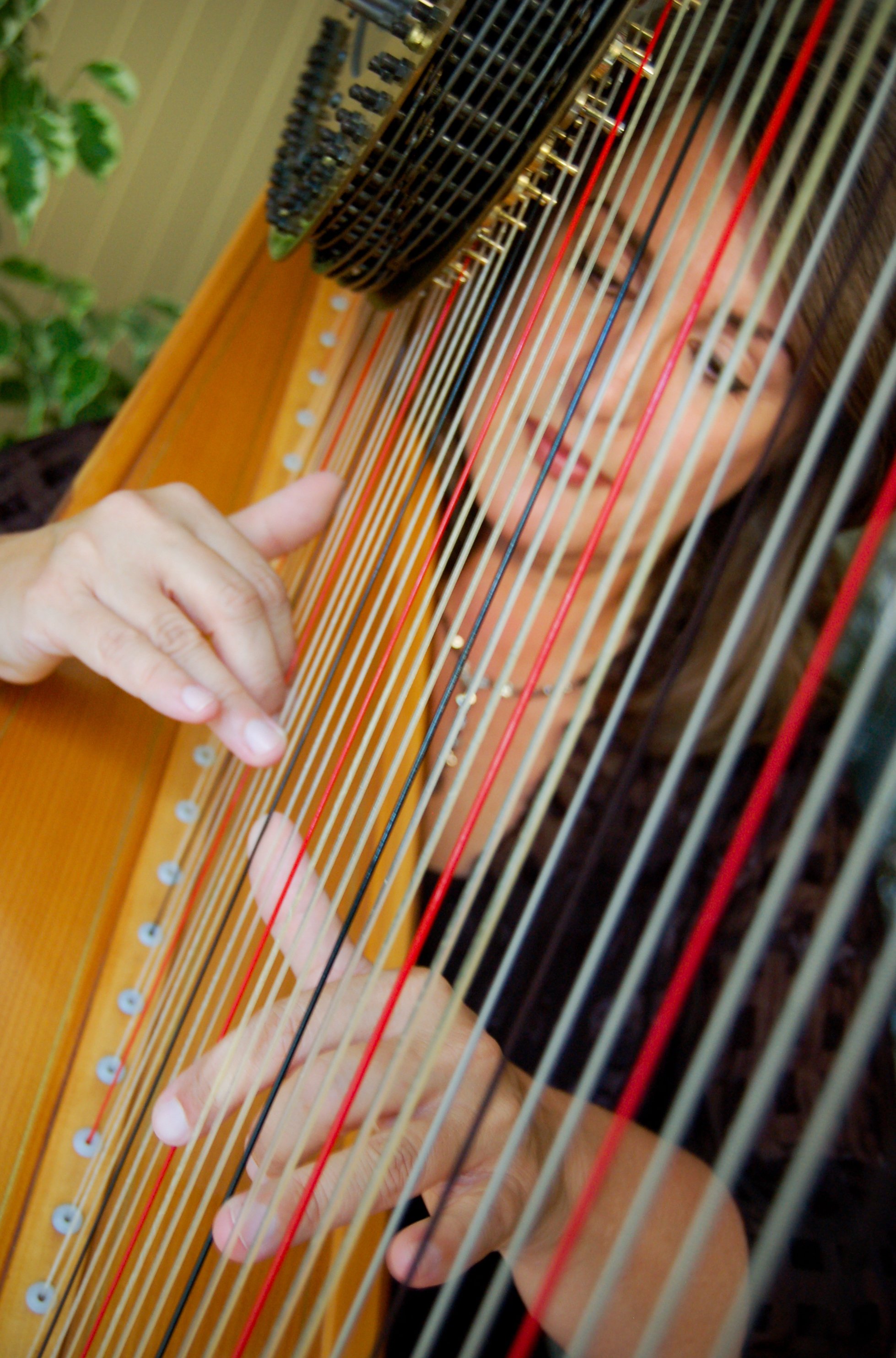 Laura Logan Brandenburg

Laura Logan Brandenburg, DMA, served as Harp Instructor on the Texas Christian University School of Music faculty from 2001 to 2020. In addition, she maintained an active pre-college studio through the TCU Music Prep Departme