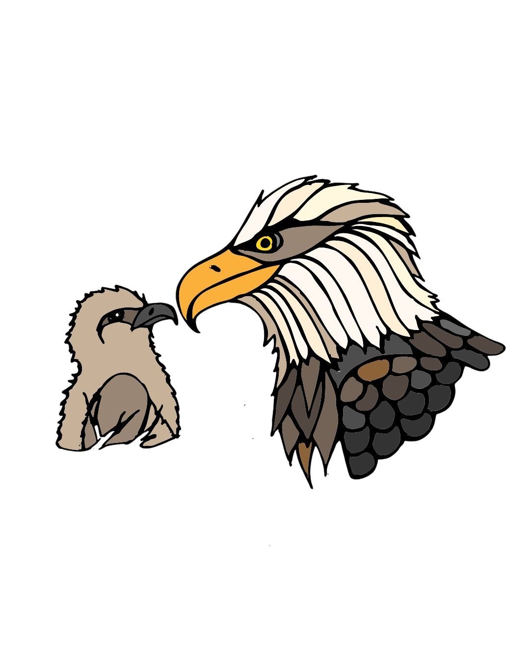 Bald Eagle Color 1-1.jpg