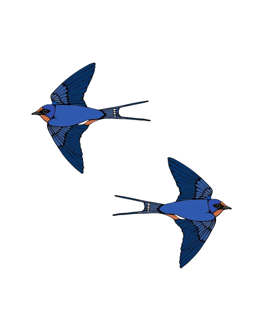Barn Swallows in Flight 1.jpg