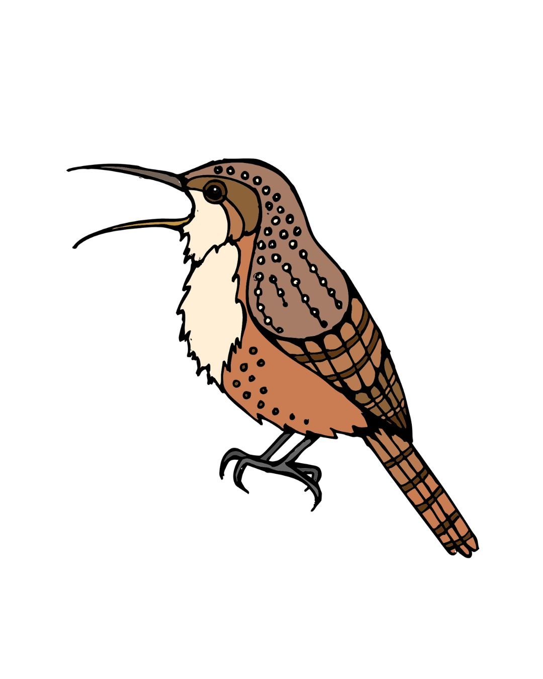 Canyon Wren Color 1-1.jpg