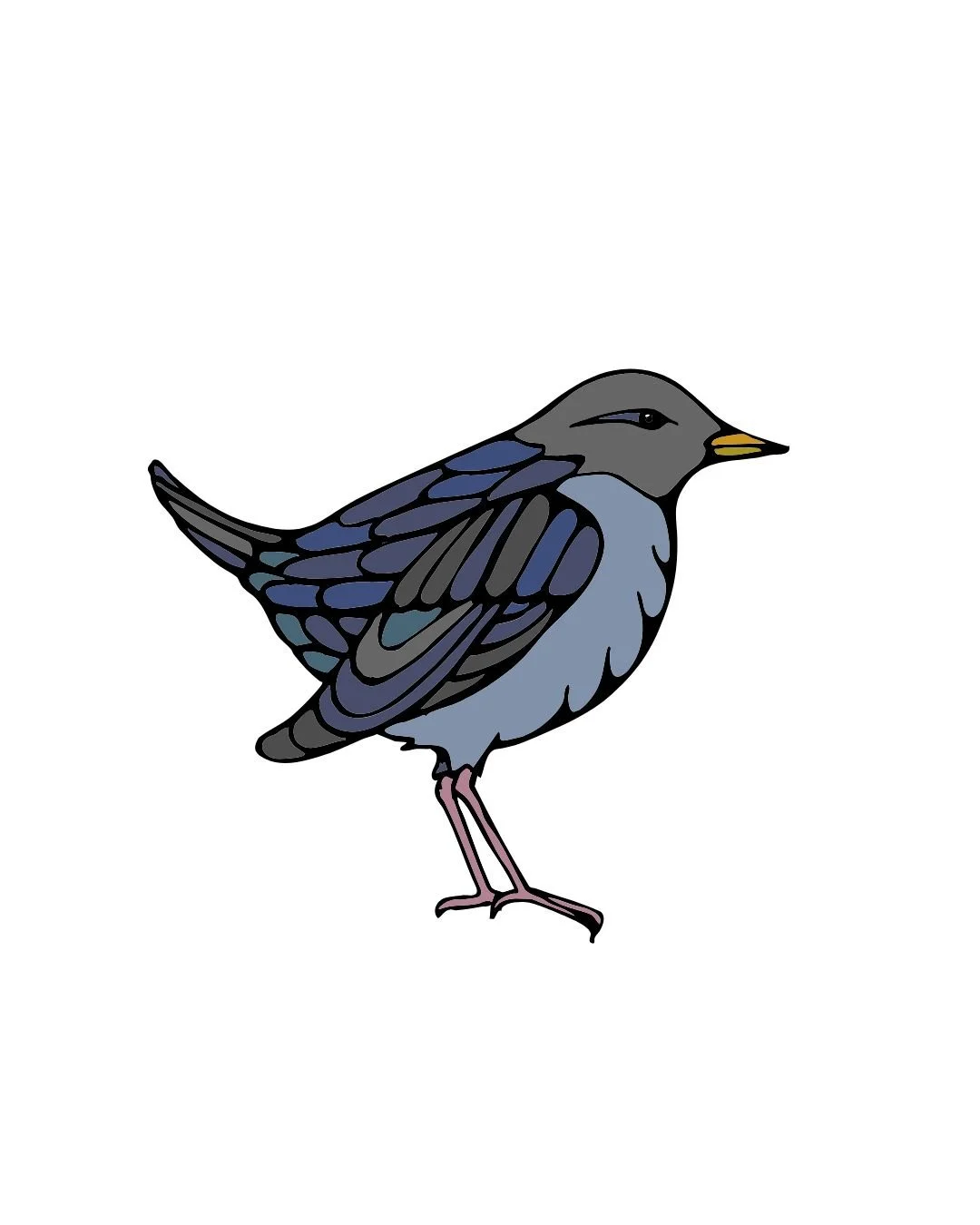 Dipper Color 1.jpg