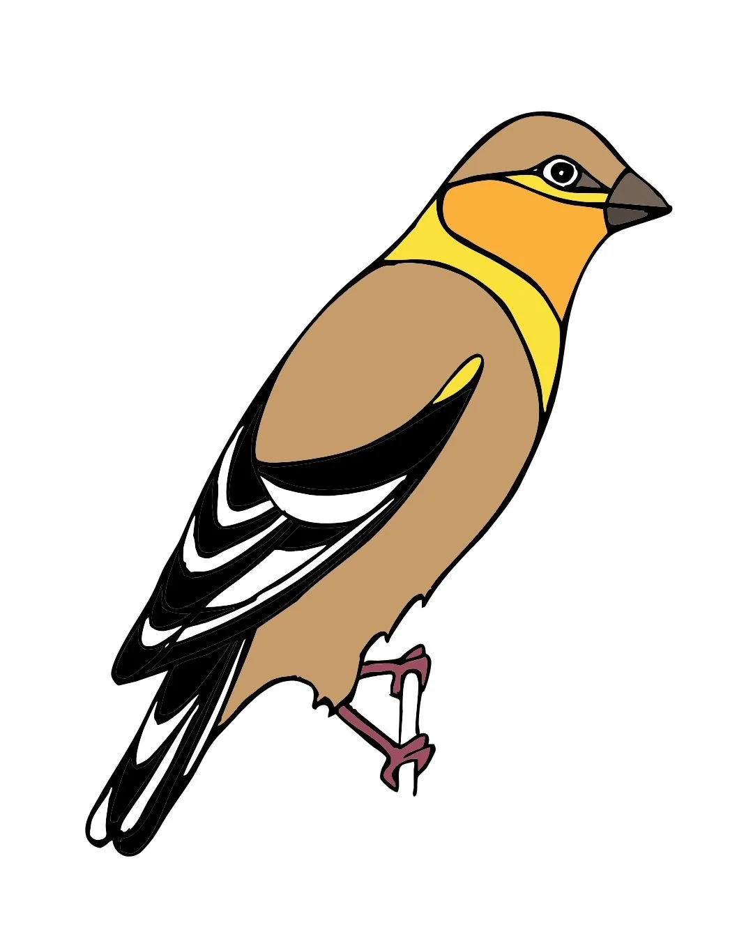 goldfinch color 1.jpg