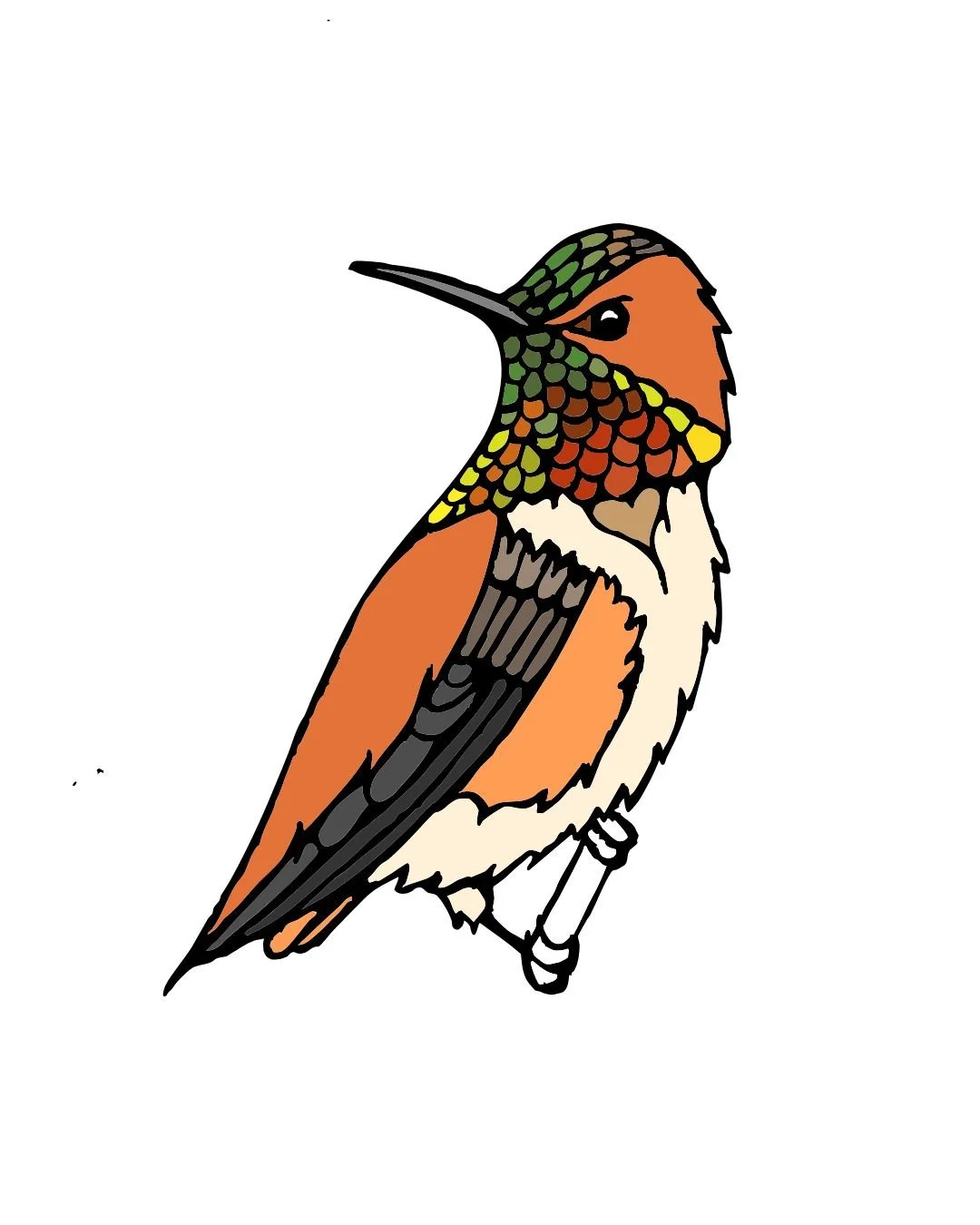Hummingbird Color 1.jpg