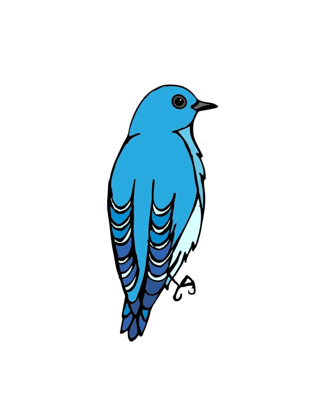 Mountain Bluebird 1-1.jpg