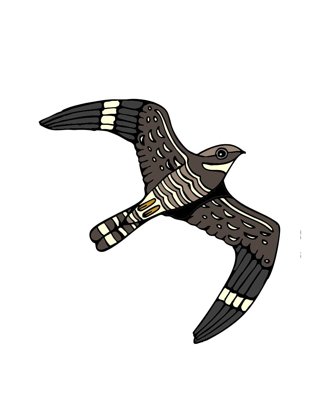 Nighthawk Color1-1.jpg