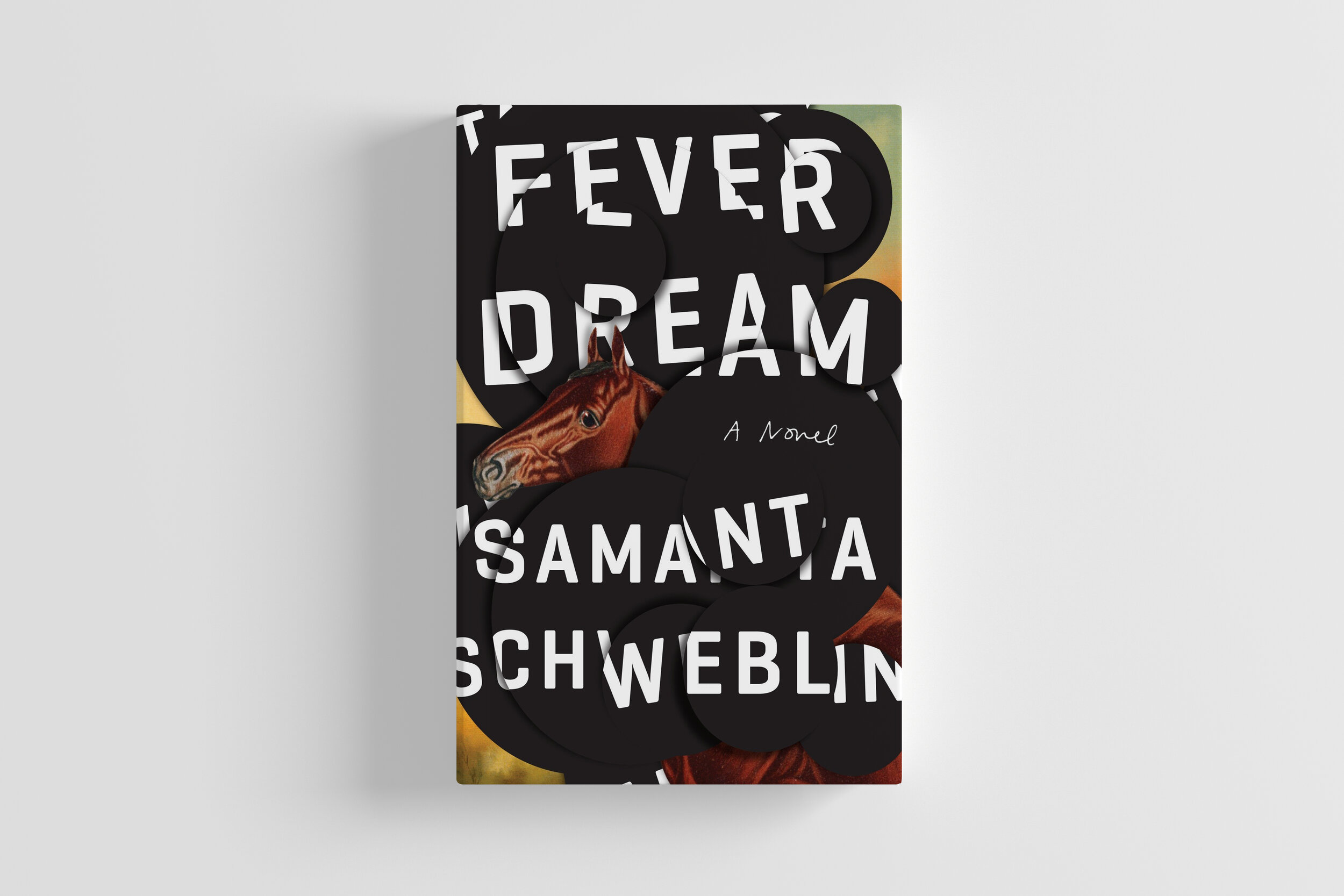 Fever Dream, Samantha Schweblin
