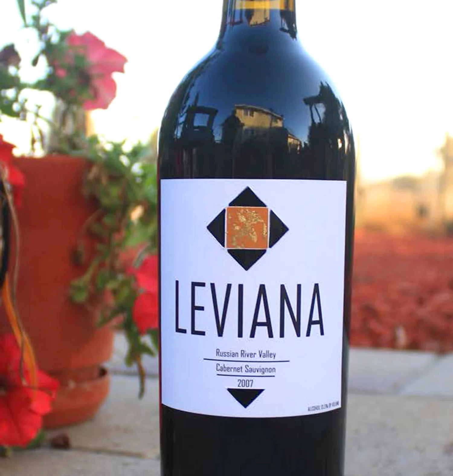 cover_image_leviana.jpg