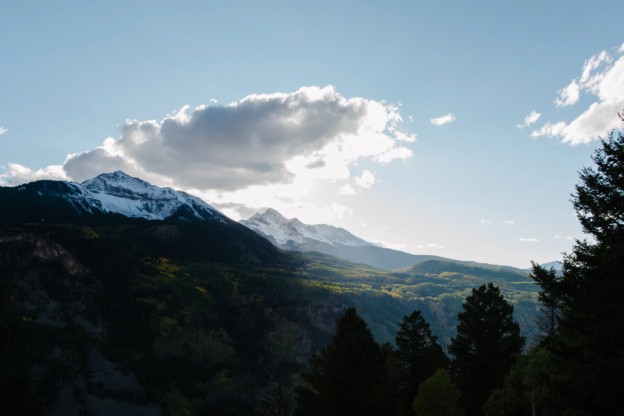 _DSC9863.jpg