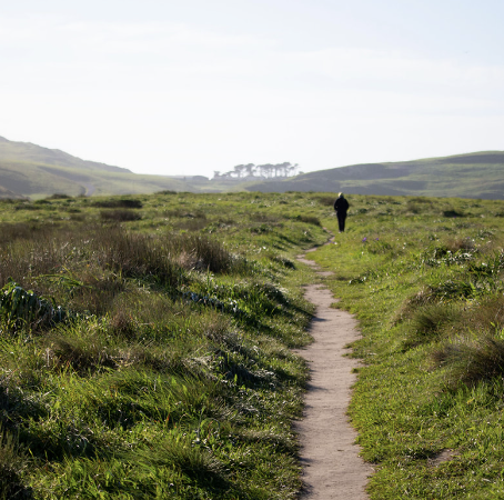 Skylark: Sauntering Songs