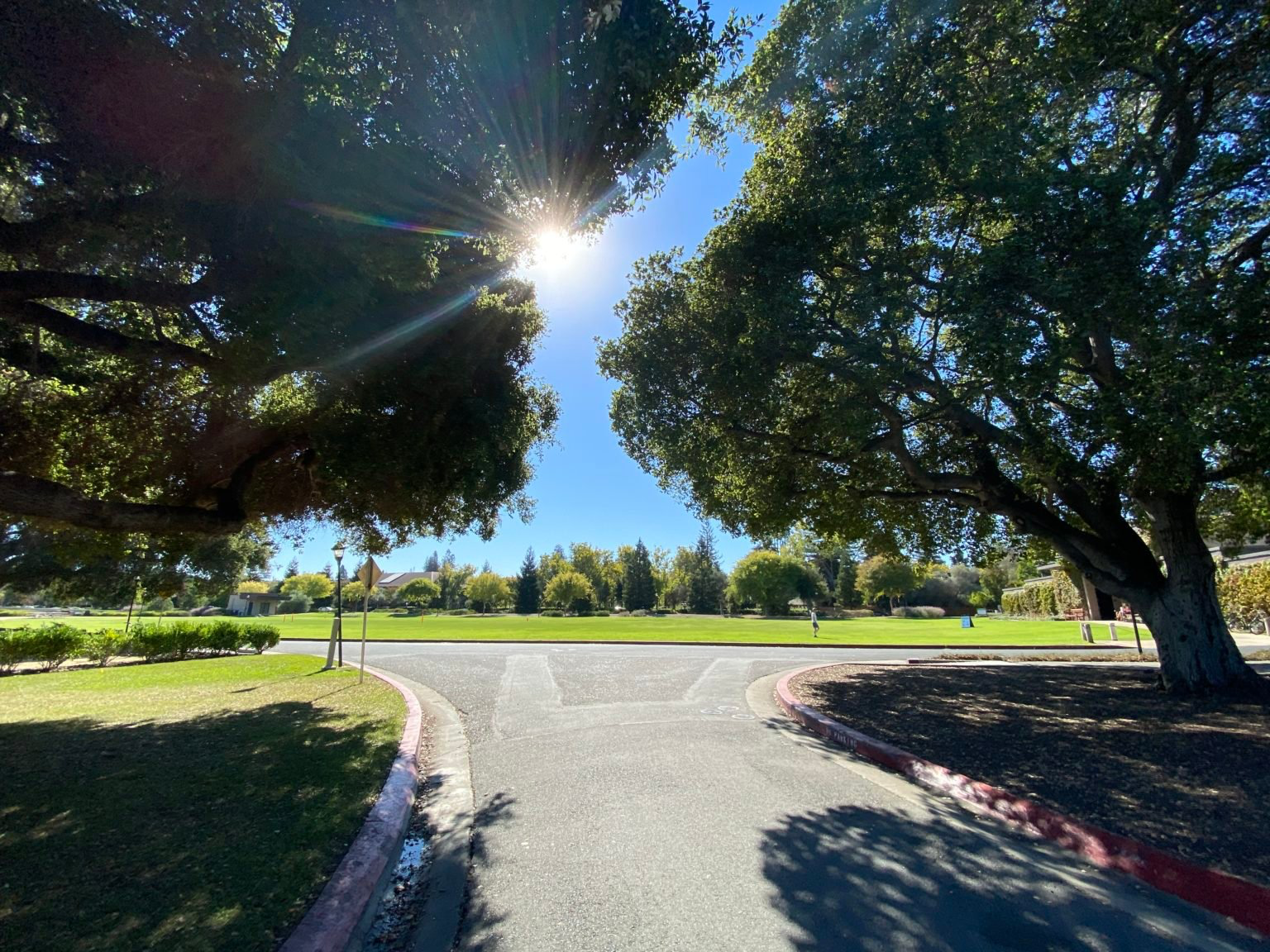 Universidad Stanford