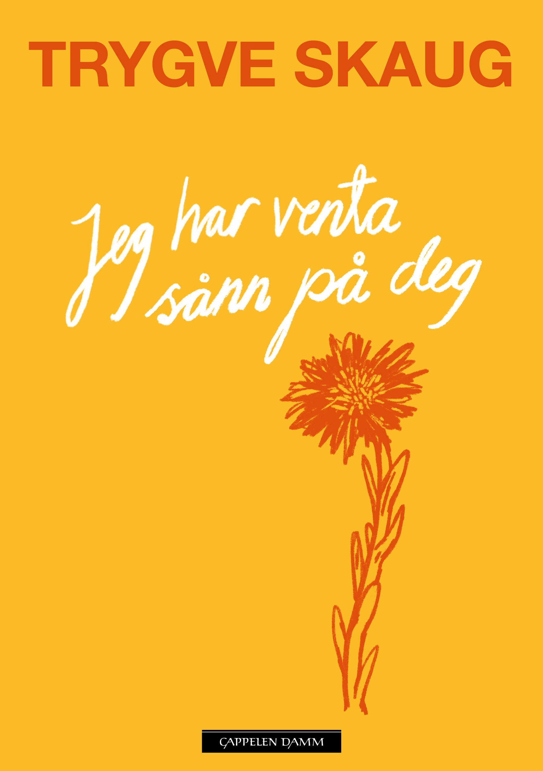 Jeg har venta sånn på deg
