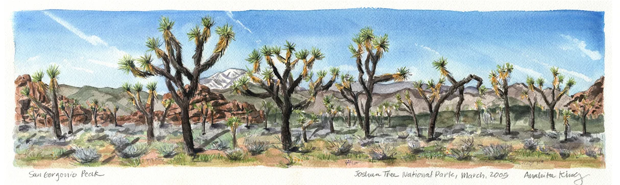 JoshuaTreeForest.jpg