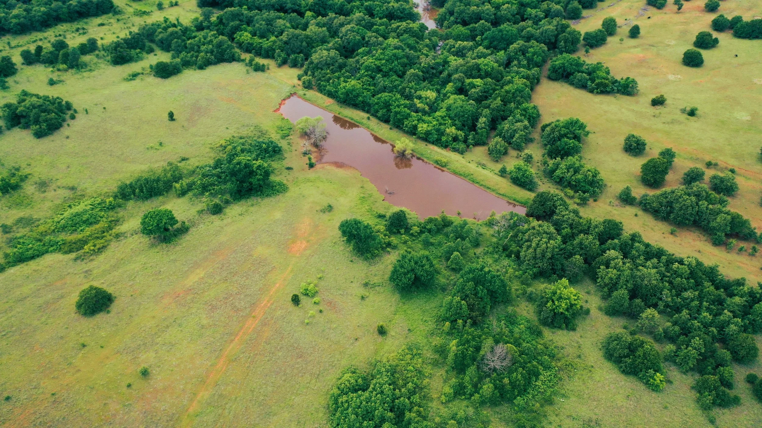 DJI_0435.JPG