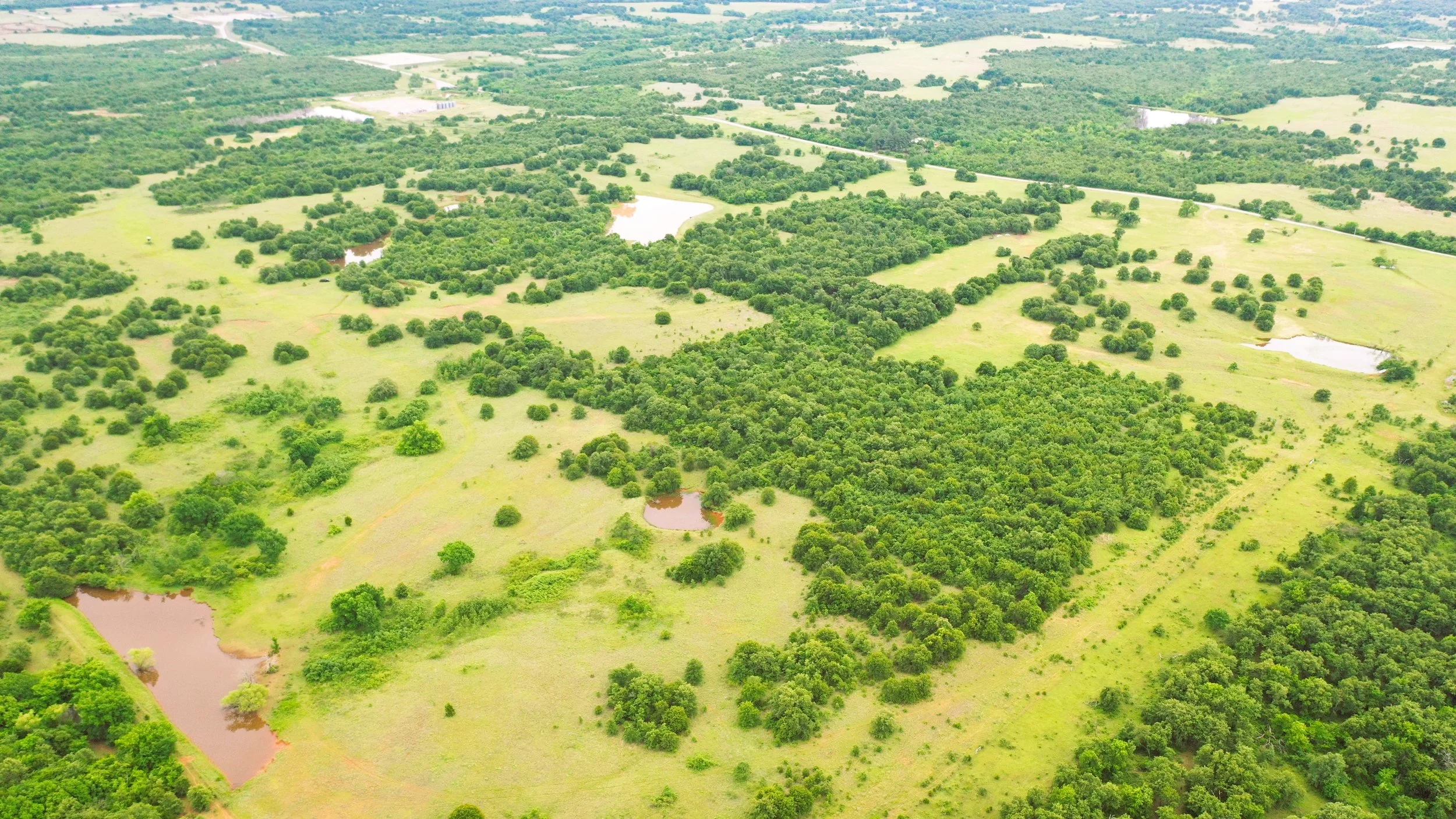 DJI_0439.JPG