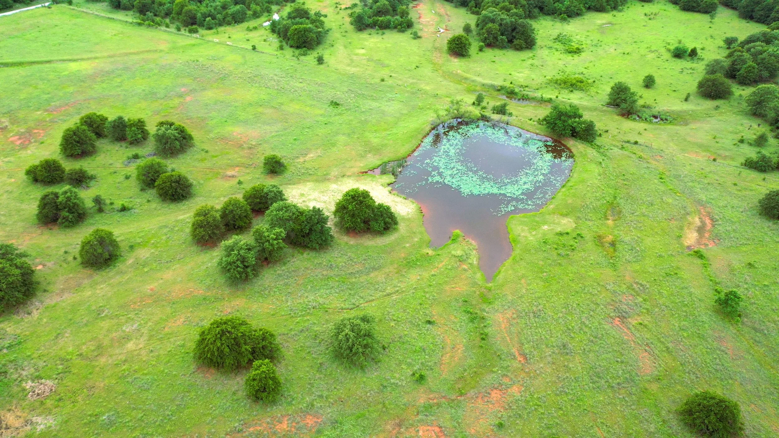 DJI_0470.JPG