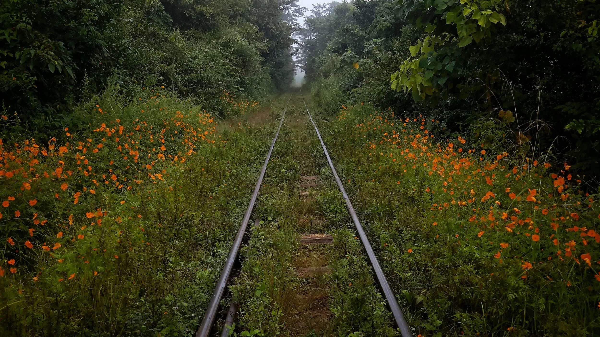 Train tracks in Kalaw, Shan State
