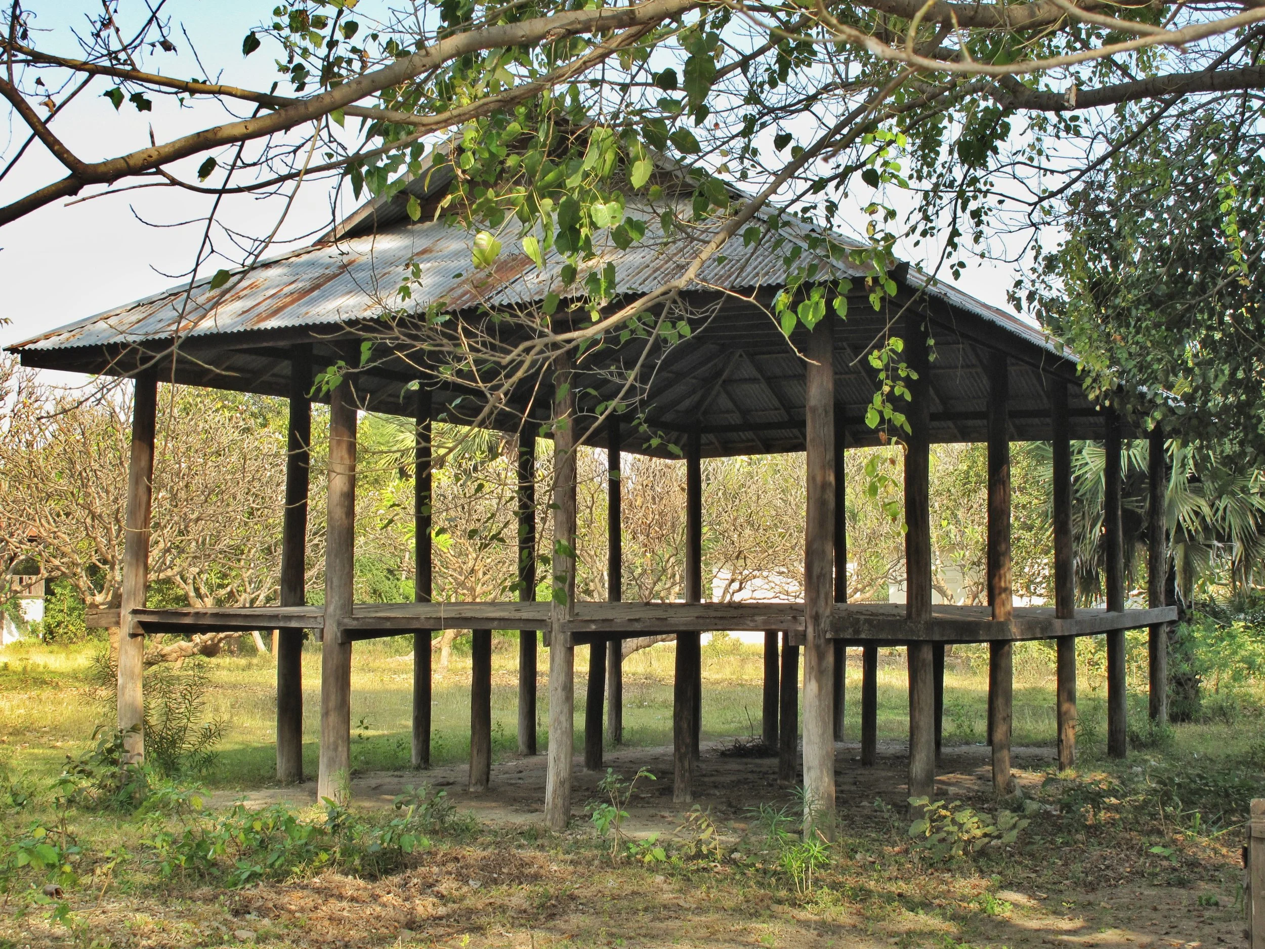 A Webu Sayadaw pilgrimage in the Golden Land