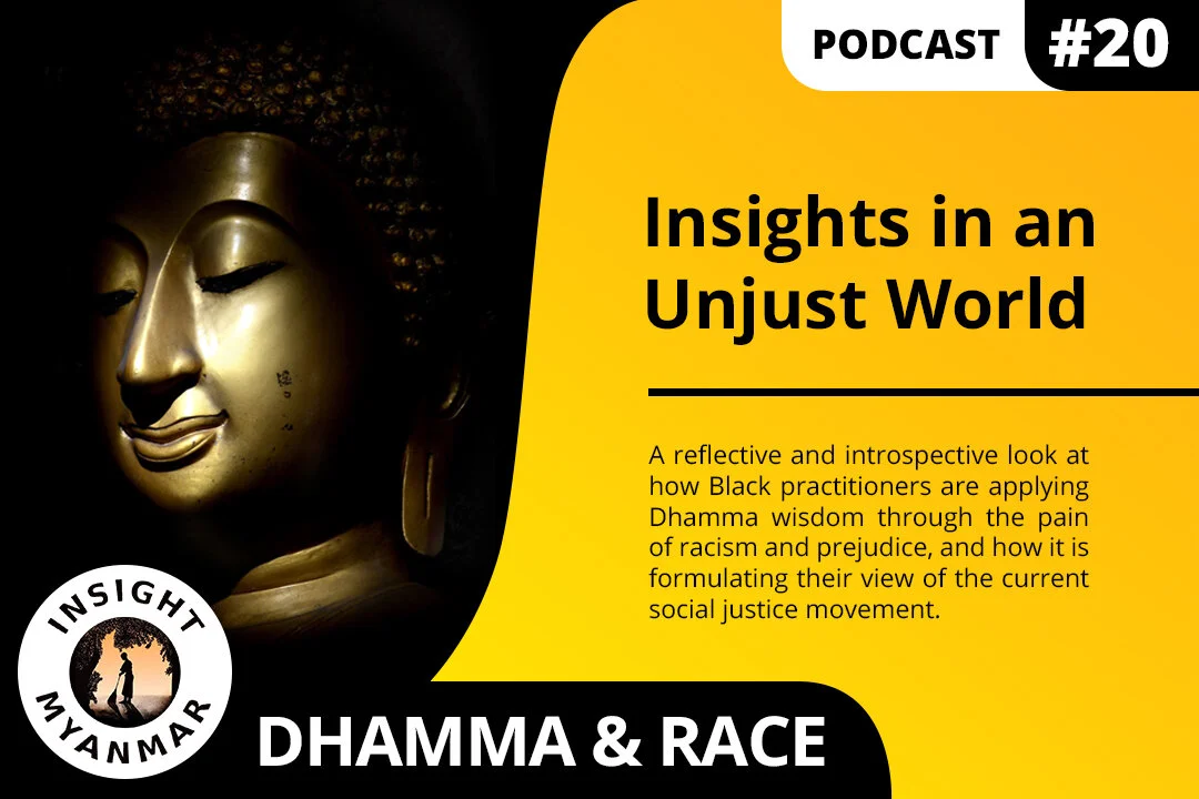 Episode 20, Intersections of Dhamma and Race: Insights in an Unjust World