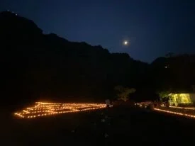 Meditation in Terror