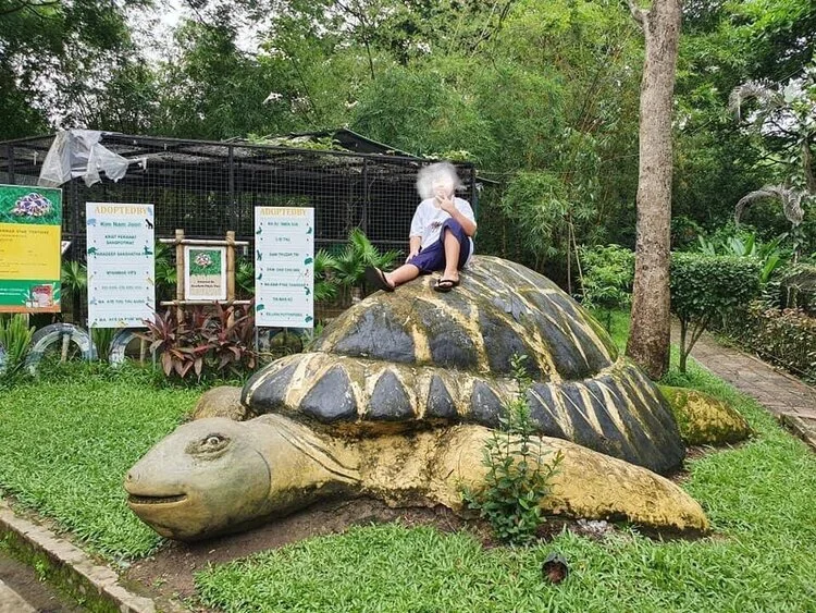 ရန်ကုန်တိရစ္ဆာန်ဥယျာဉ်သို့တကျော့ပြန်လာခြင်း