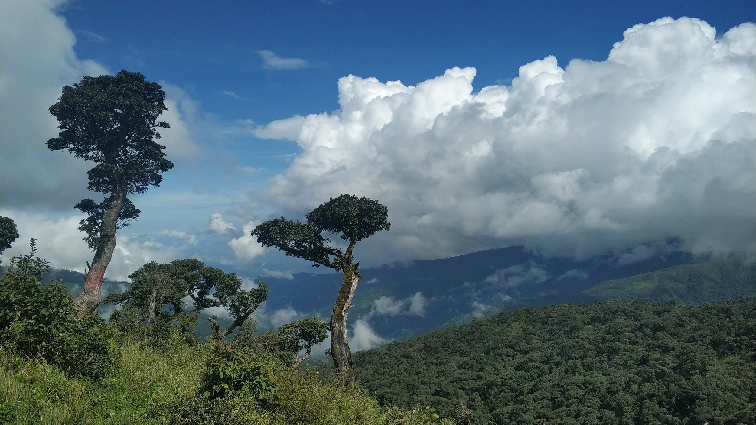 Background Update in Chin State