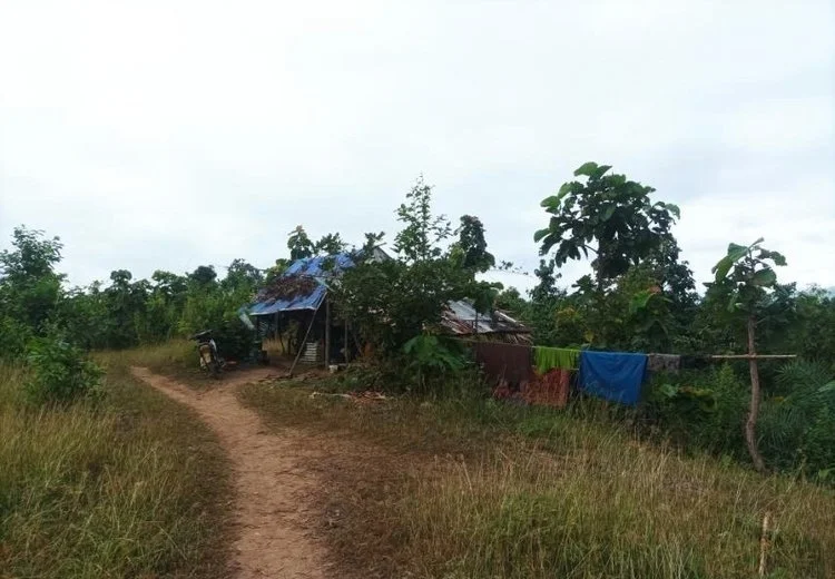 ဂန့်ဂေါ - ဆောင်းဝင်လာပြီ