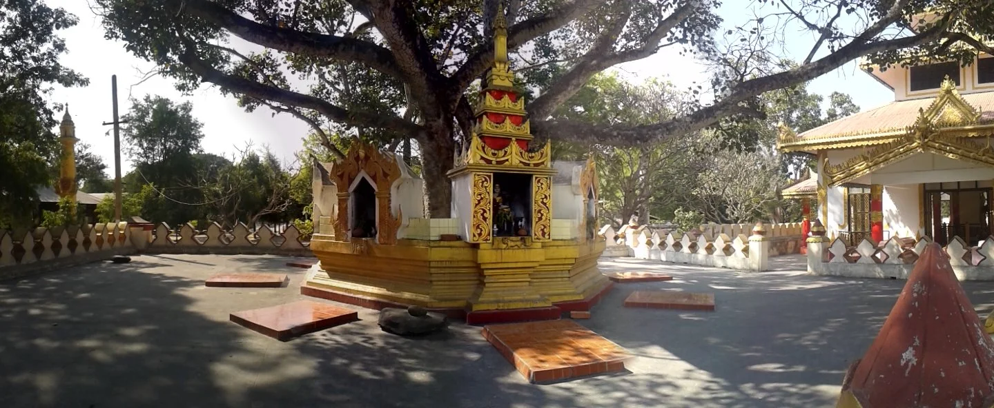 Webu Sayadaw sites in danger