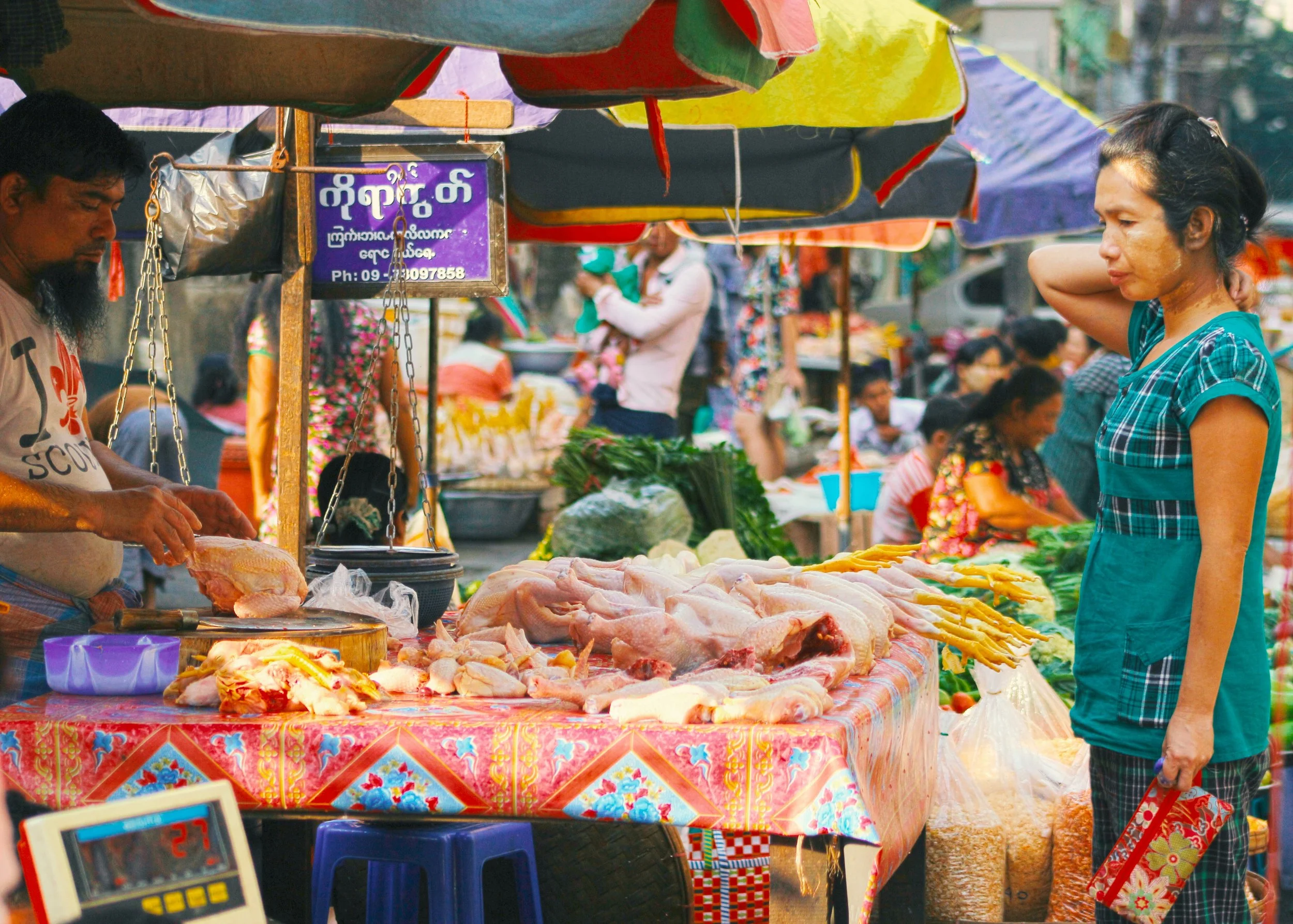 A Burmese diet in the West