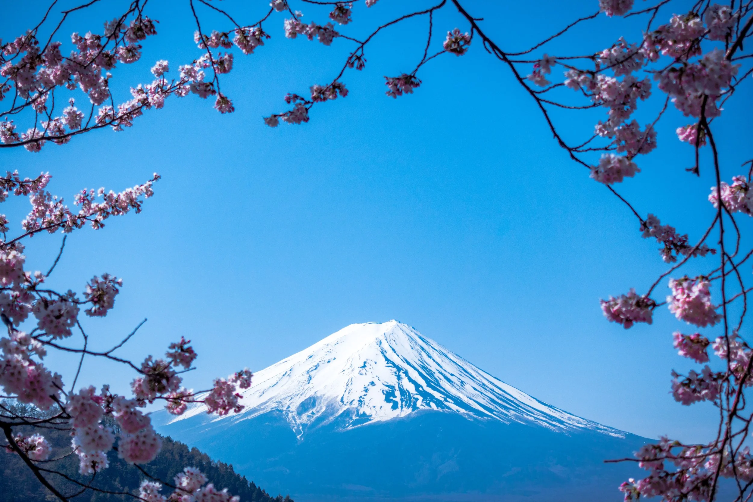 The Burmese work experience in Japan