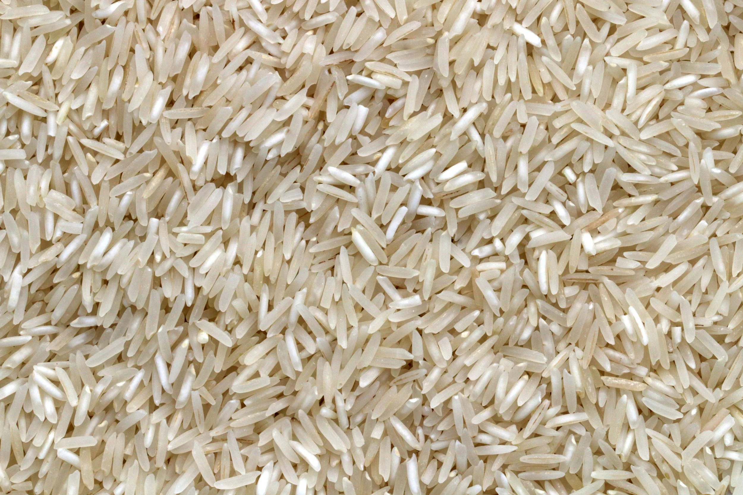 Eating Burmese rice in Spain