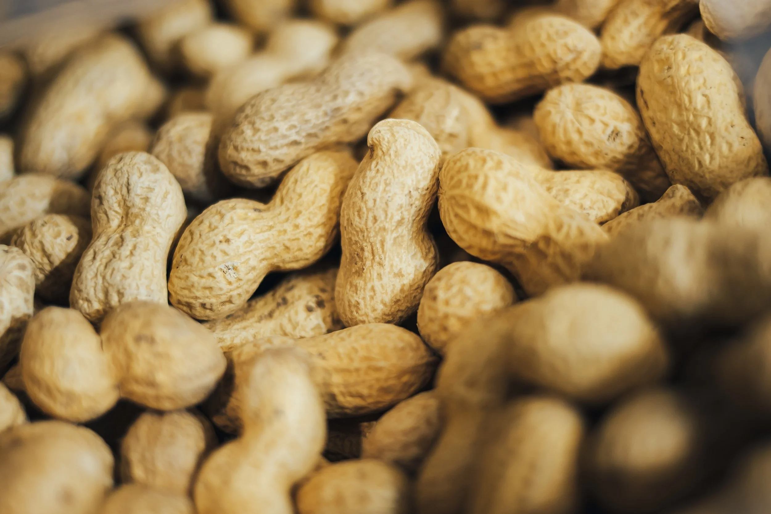 Working for peanuts