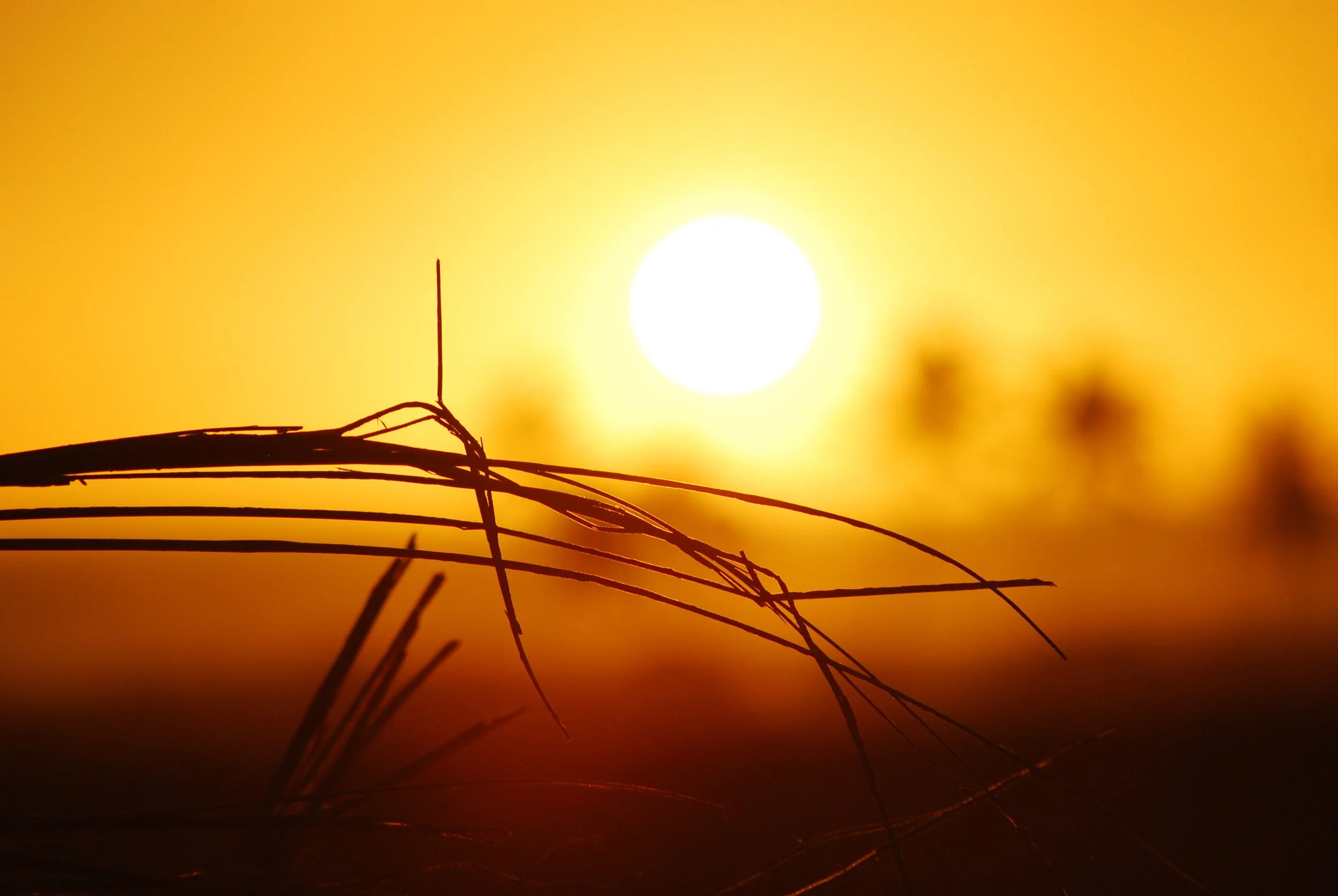Dangers of heat stroke