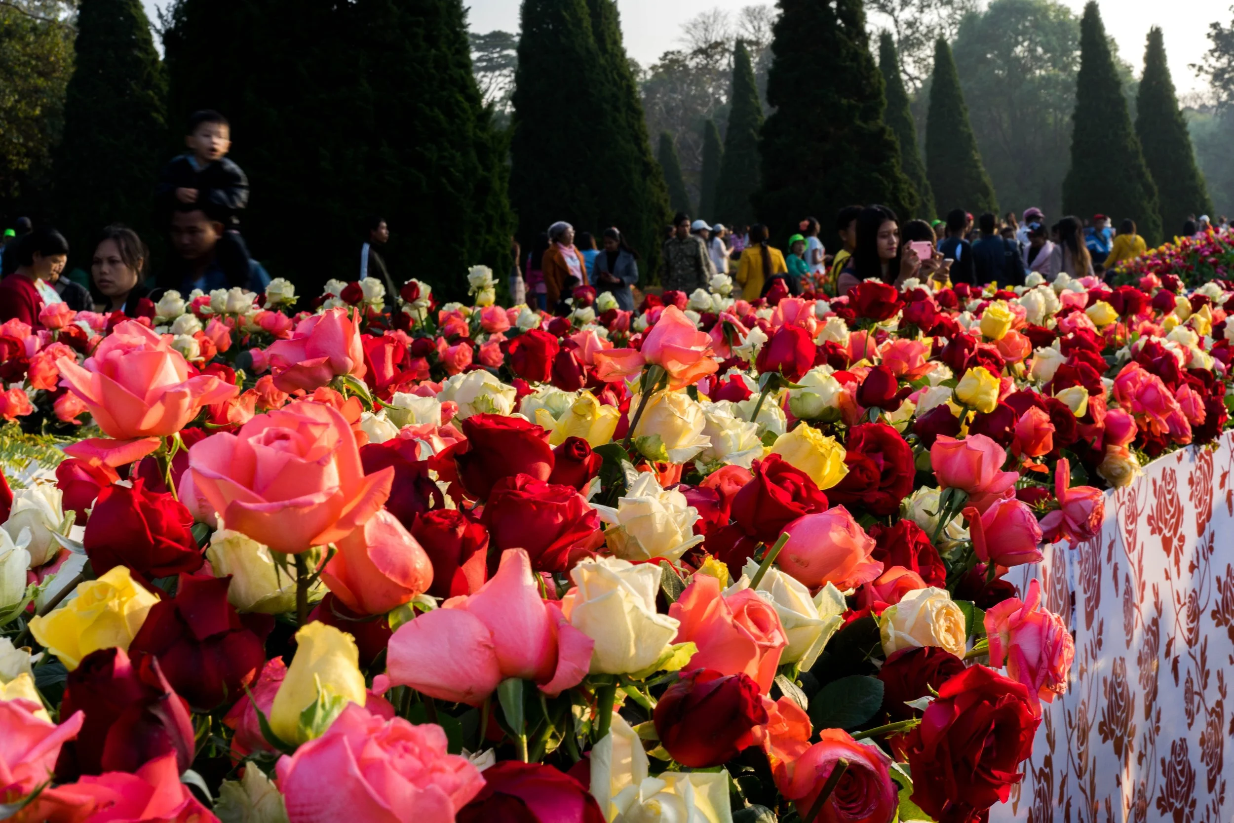 Three days in Pyin Oo Lwin