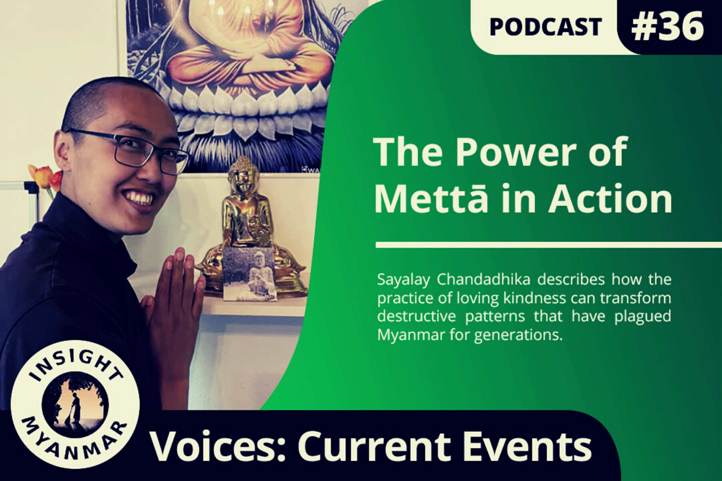 Transcript: Episode 36: The Power of Mettā in Action