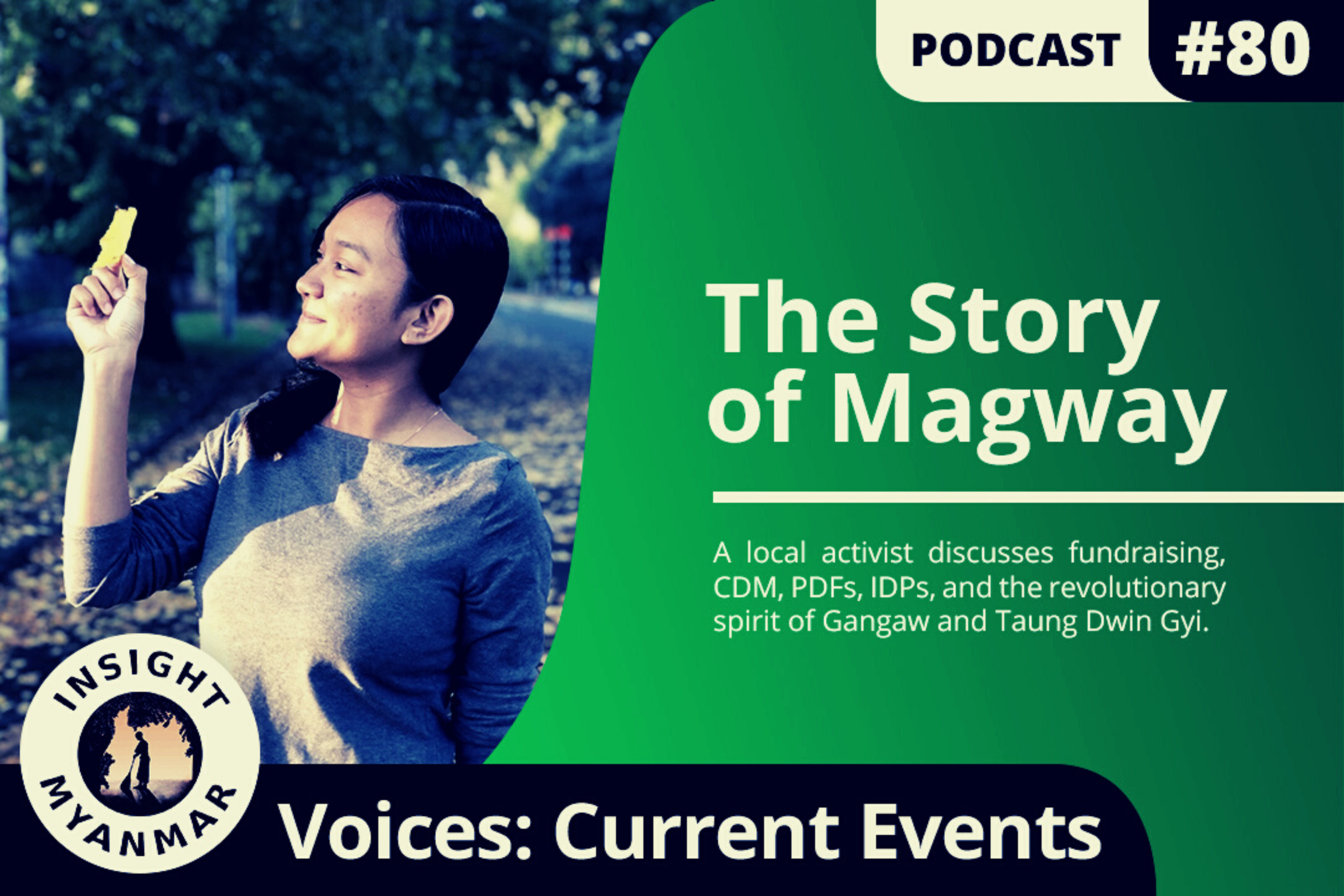 Transcript: Episode #80: The Story of Magway